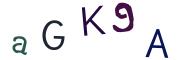 Image CAPTCHA